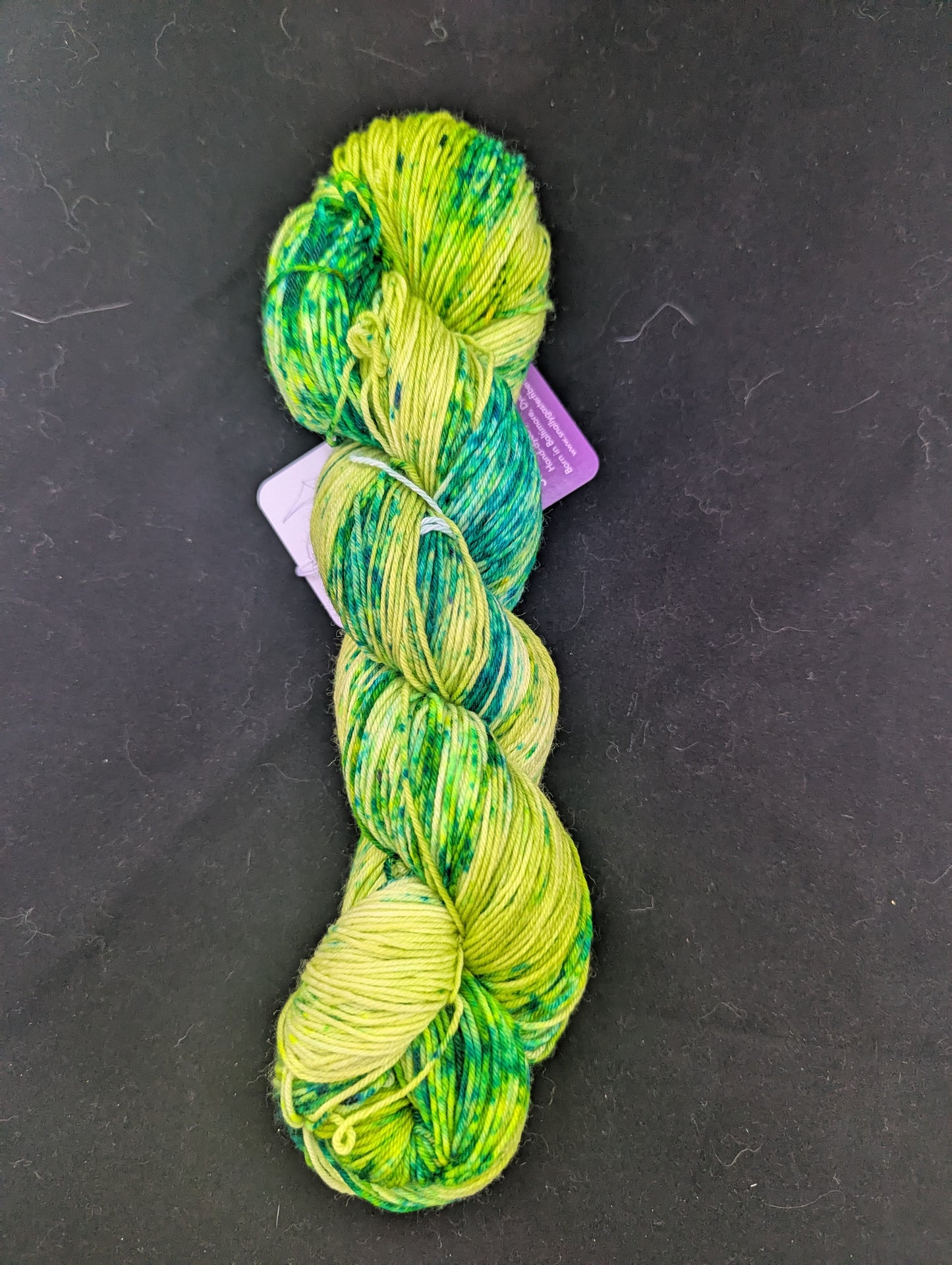 Snally Sprout Polaris Sock Yarn