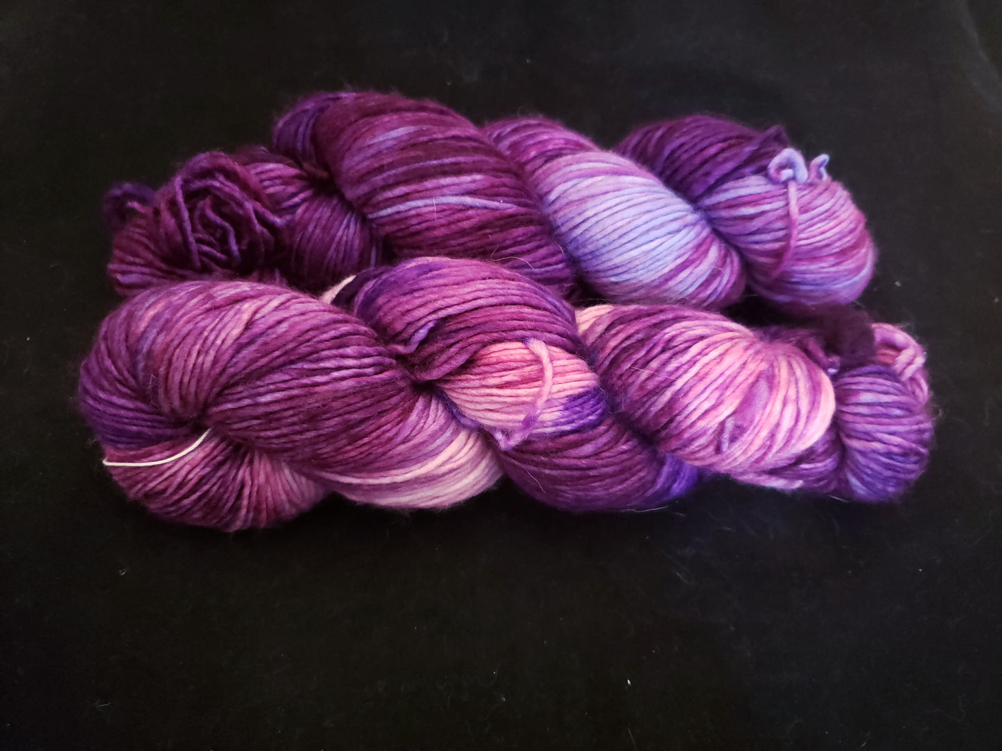 Pygmy Puff Corvus DK