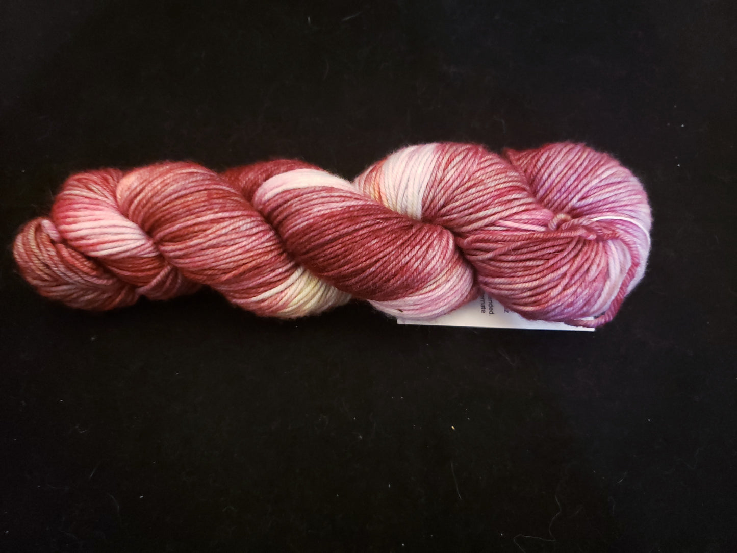 Shindig Regulus DK