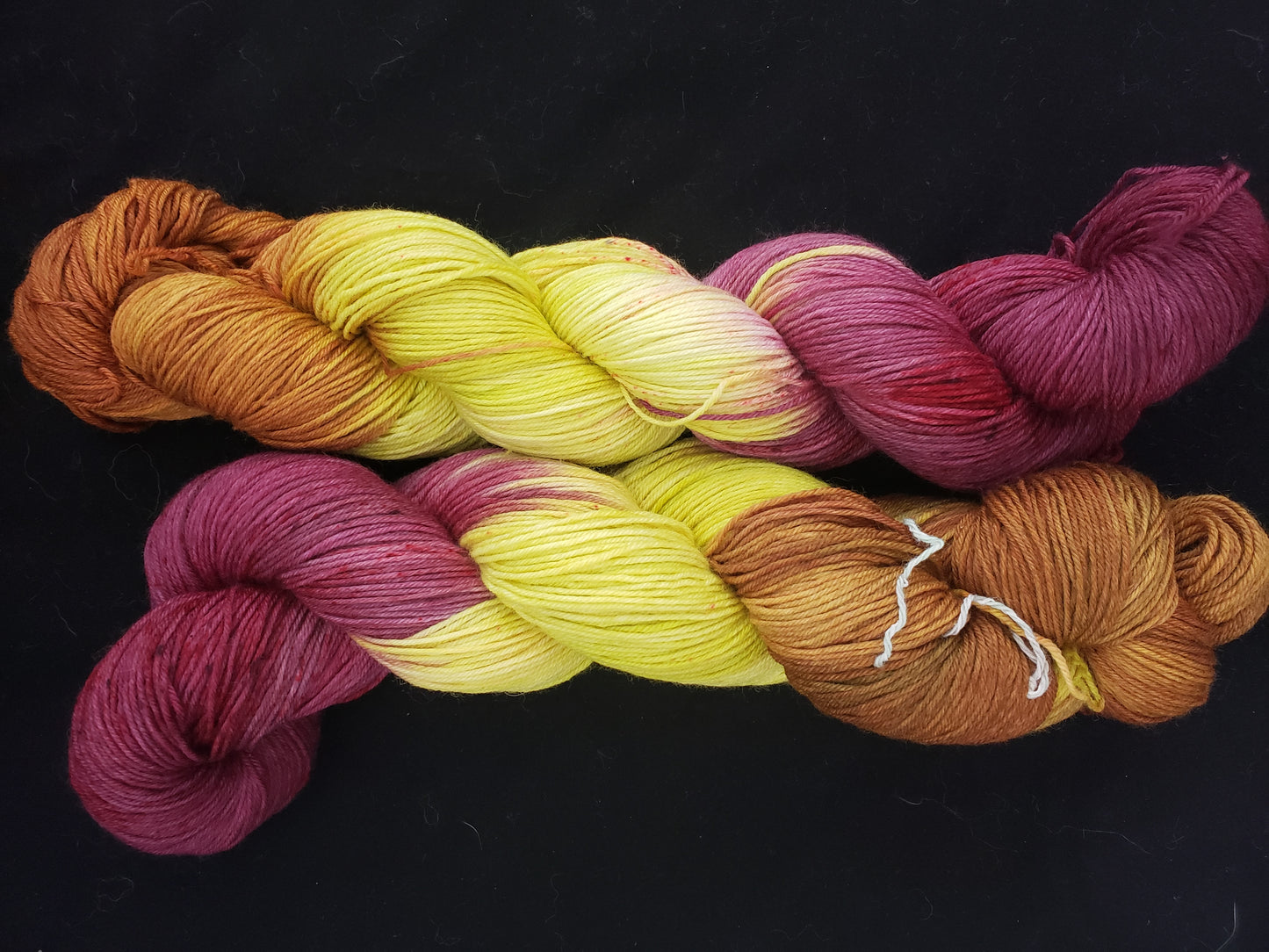 Snallygaster Polaris Sock Yarn